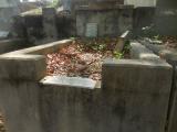 image of grave number 835107